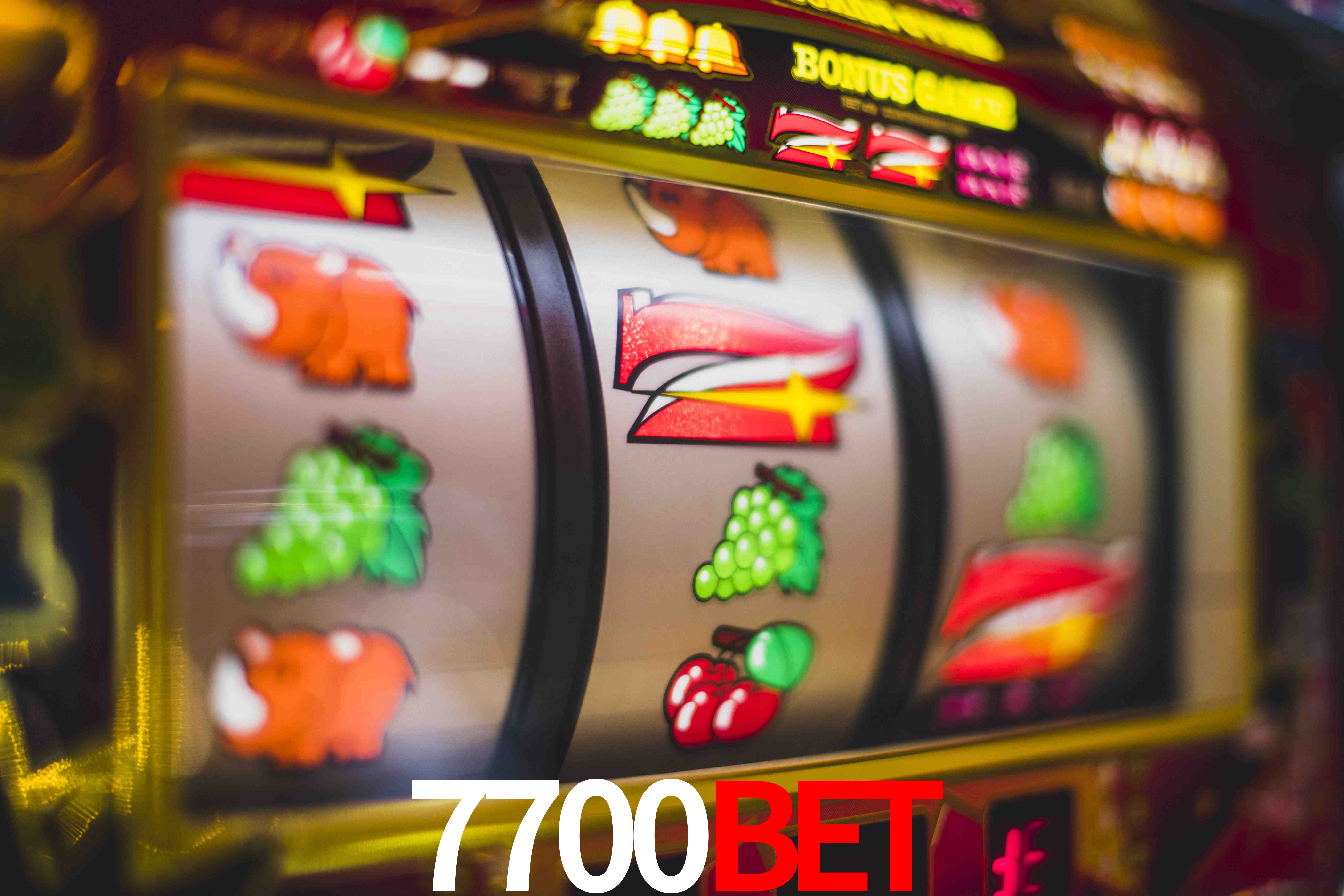 Experiência VIP 7700bet